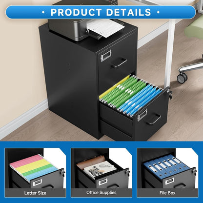 2 Drawer Locking Vertical File Cabinet For Letter Size Files Steel Office Storage