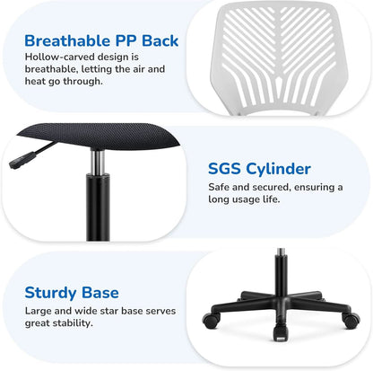 Dark Gray Ergonomic Adjustable Desk Chair Lumbar Support