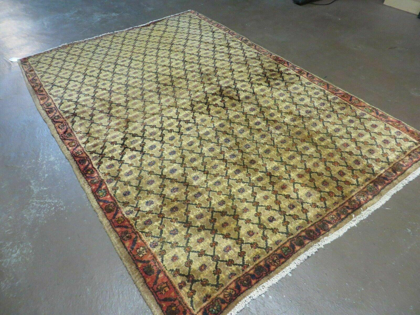 4' X 6' Handmade Indian Allover Wool Rug Camel Hair Color #119