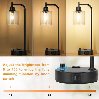 Industrial Nightstand Lamps Set of 2 Dimmable USB C Ports