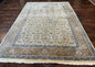 Indo Persian Rug 6x9, Beige, Allover Pattern, Vintage Wool Oriental Carpet