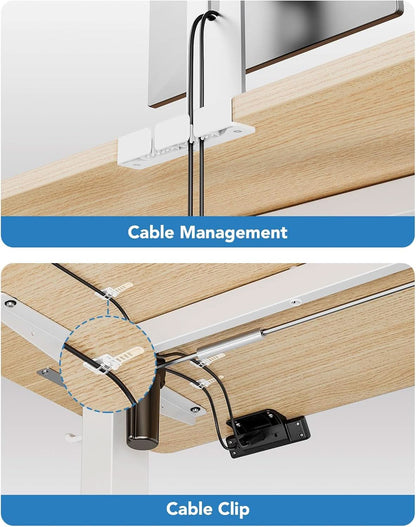 48 Inch Natural Electric Standing Desk With Memory Presets