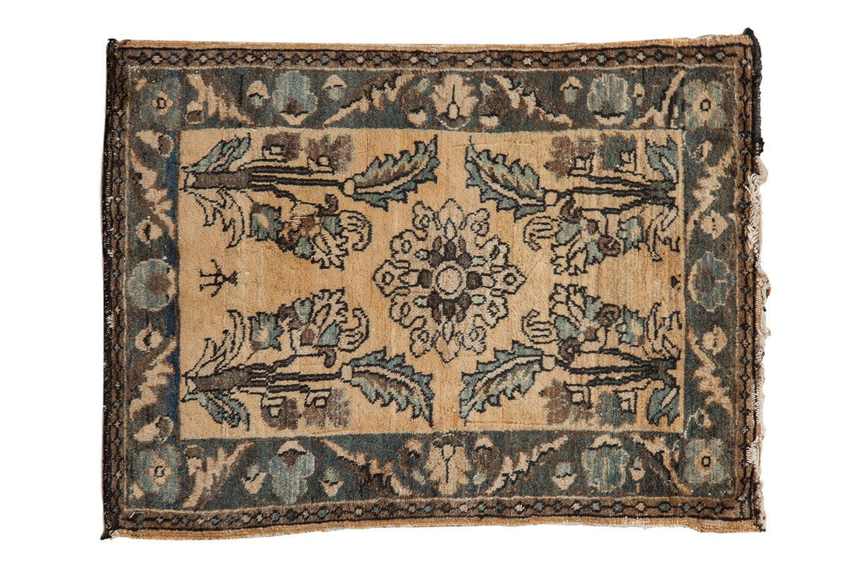 2x3 Vintage Fine Distressed Lilihan Rug Mat