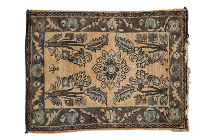 2x3 Vintage Fine Distressed Lilihan Rug Mat