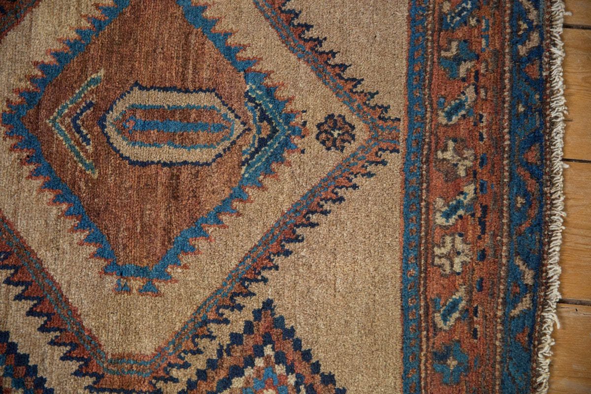 3x6 Antique Camel Hair Serab Rug Runner