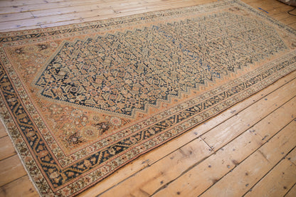 5x11.5 Vintage Distressed Malayer Rug Runner