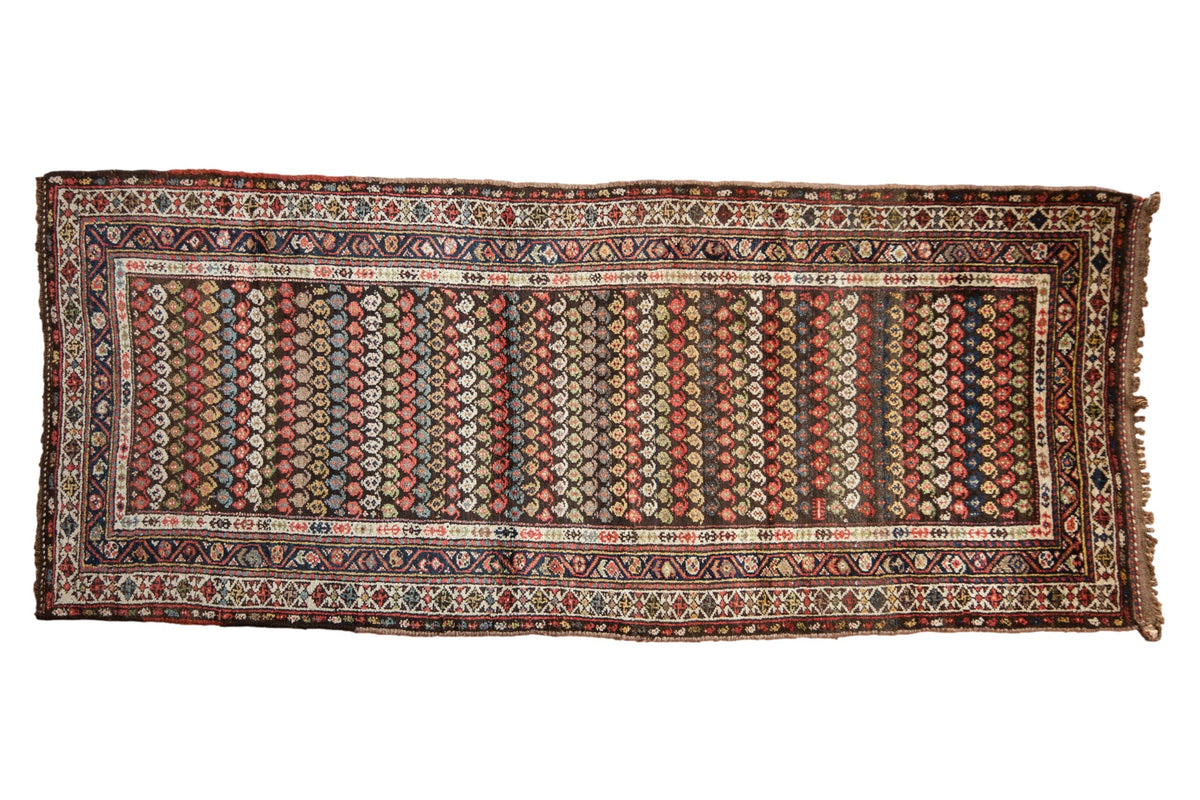 3.5x8.5 Vintage Kurdish Hamadan Rug Runner