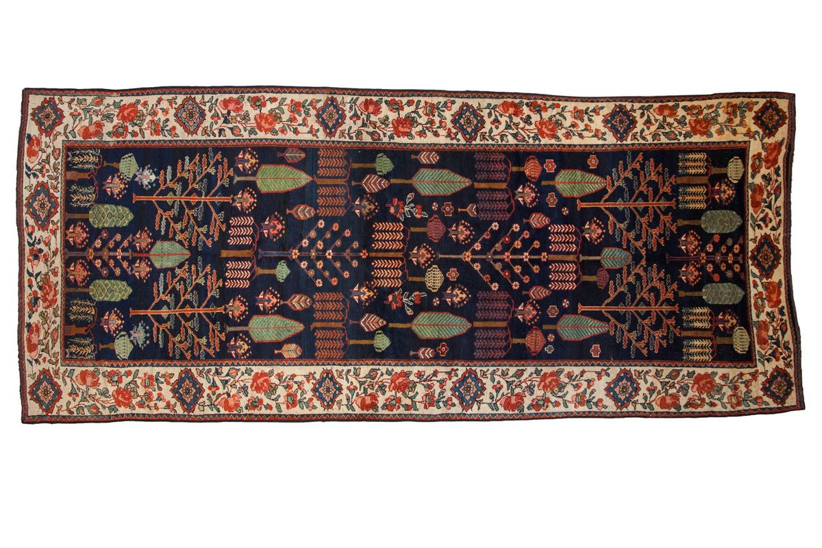 5.5x13 Vintage Baktiari Rug Runner