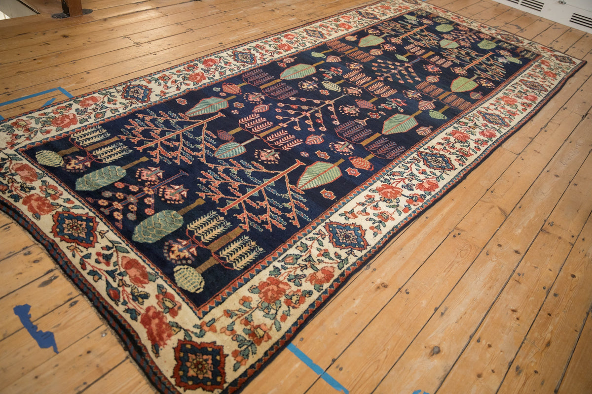5.5x13 Vintage Baktiari Rug Runner