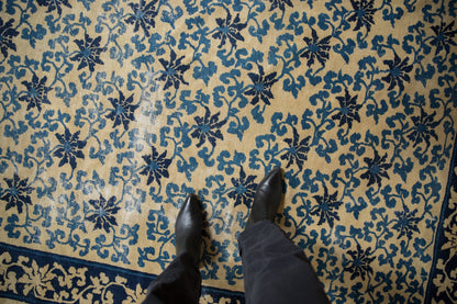 6x8 Antique Peking Carpet