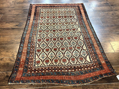 Antique Caucasian Rug 4x6, Hand Knotted Wool Carpet, Shirvan Rug