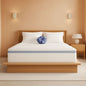 Gel Memory Foam Mattress Certipur US Certified Twelve Inches