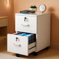 2 Drawer Locking File Cabinet For Letter Size Folders With Tabs, Mobile Under Desk