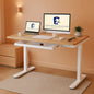 48 Inch Electric Standing Desk With USB Port And Drawers