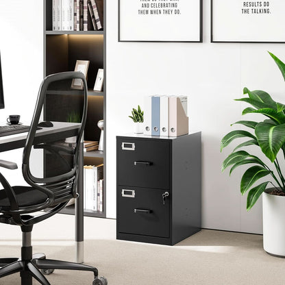 2 Drawer Locking Vertical File Cabinet For Letter Size Files Steel Office Storage