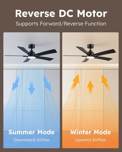 52 Inch Ceiling Fan With Lights Remote Black 5 Blade