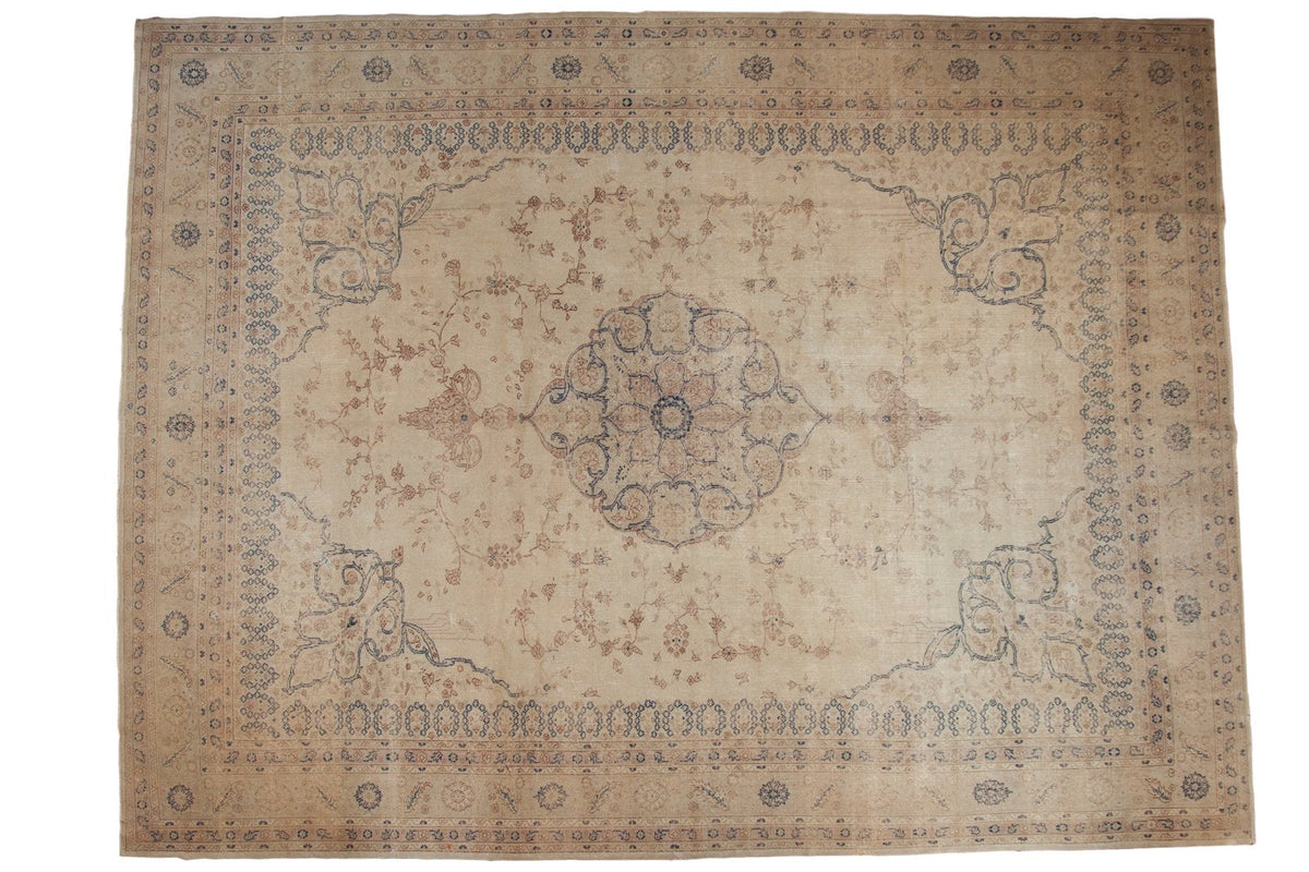 11x14.5 Vintage Distressed Sparta Carpet