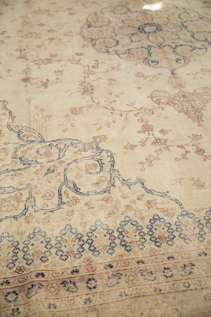 11x14.5 Vintage Distressed Sparta Carpet
