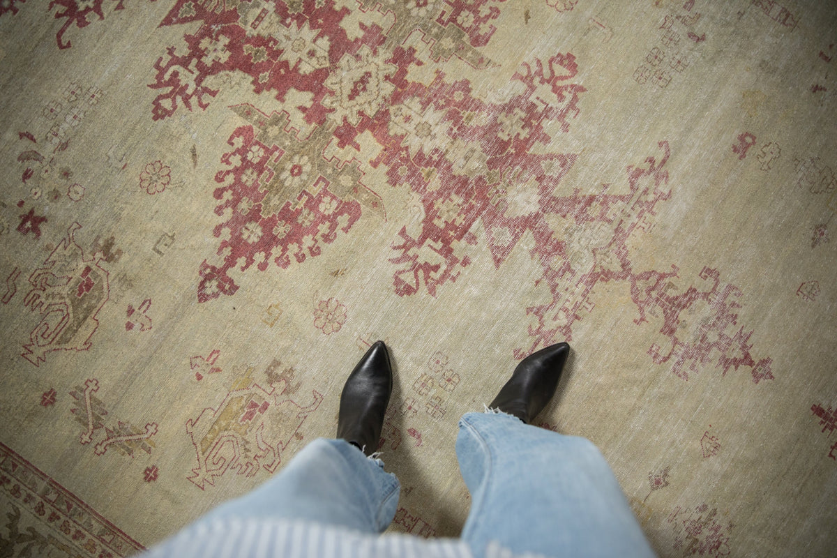 9x12 Vintage Distressed Amritsar Carpet