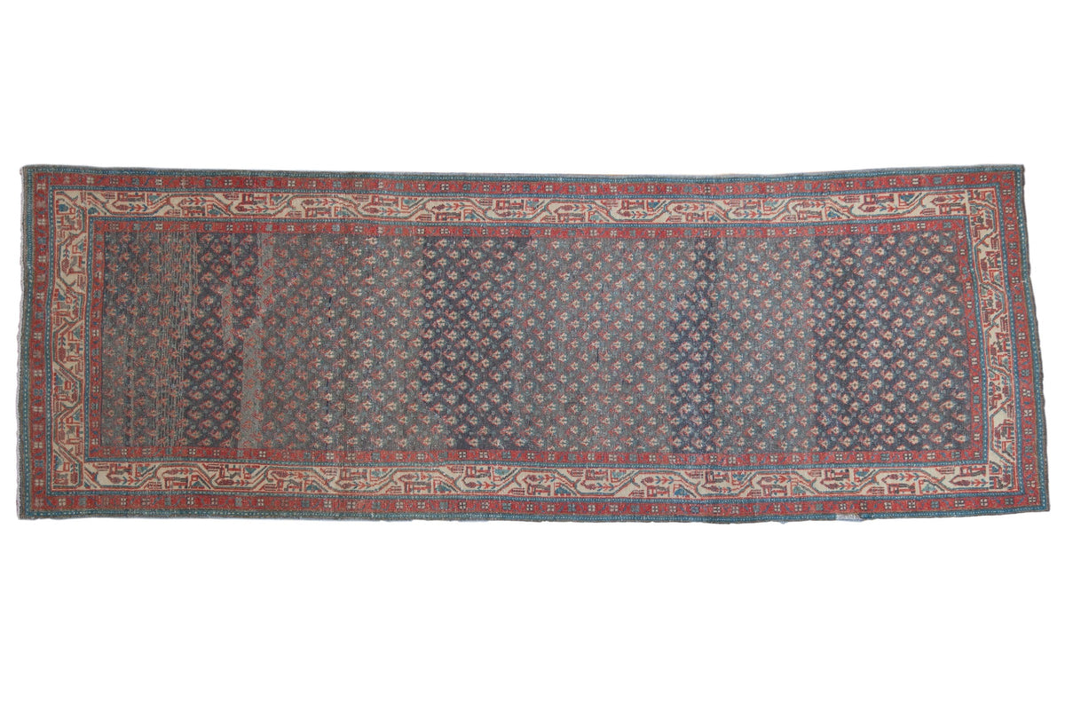 3.5x9.5 Vintage Distressed Serbend Rug Runner
