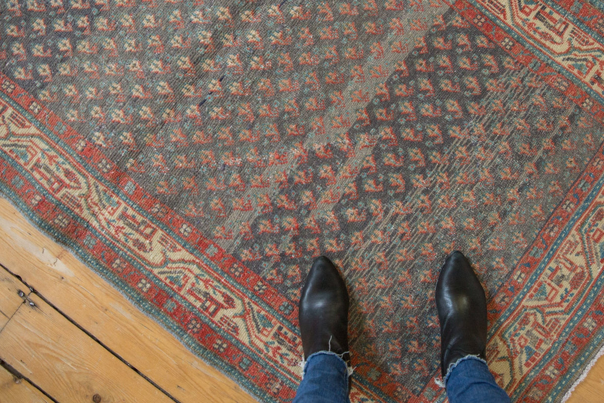 3.5x9.5 Vintage Distressed Serbend Rug Runner