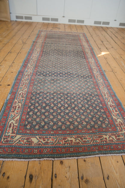 3.5x9.5 Vintage Distressed Serbend Rug Runner