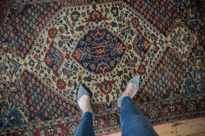 4.5x6.5 Vintage Baktiari Rug