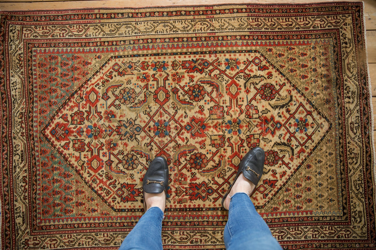 3.5x5 Vintage Distressed Serbend Rug