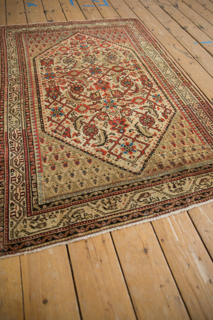 3.5x5 Vintage Distressed Serbend Rug