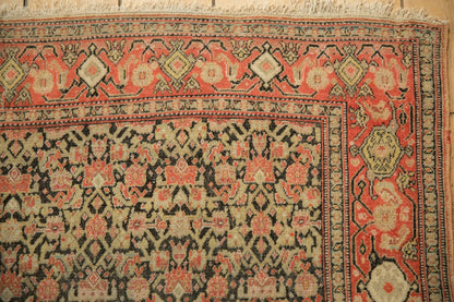 4x6 Antique Senneh Rug