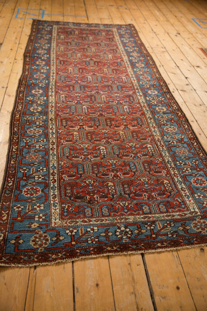 3.5x9.5 Antique Fine Kurdish Hamadan Rug Runner