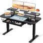 Electric Standing Desk With Drawers 48x24 Black Height Adjustable