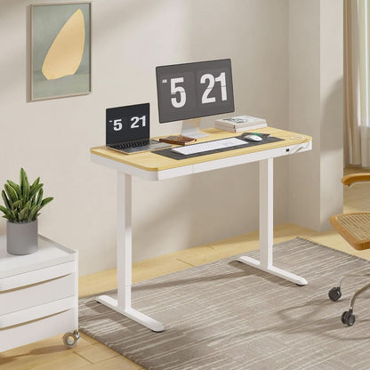 48 Inch Electric Standing Desk With USB Port And Drawers
