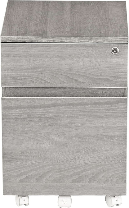 Grey Rolling Locking Two Drawer Vertical Filing Cabinet