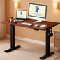 Electric Height Adjustable Standing Desk 48x24 Home Office