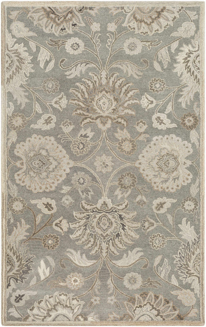 Conesus 1195 Hand Tufted Ivory & Taupe Wool Rug