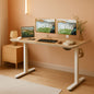 Electric Height Adjustable Desk 55 X 24 Memory Preset