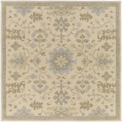 Hazen 1197 Hand Tufted Light Beige Wool Rug