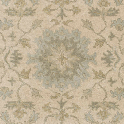 Hazen 1197 Hand Tufted Light Beige Wool Rug