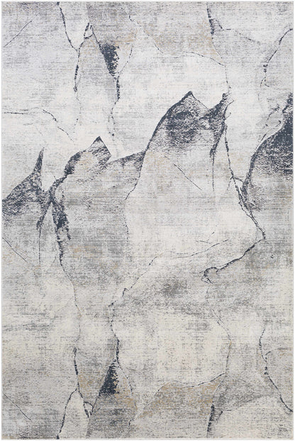 Gasquet Gray Marble Textured Luxe Rug