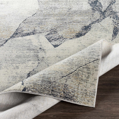 Gasquet Gray Marble Textured Luxe Rug