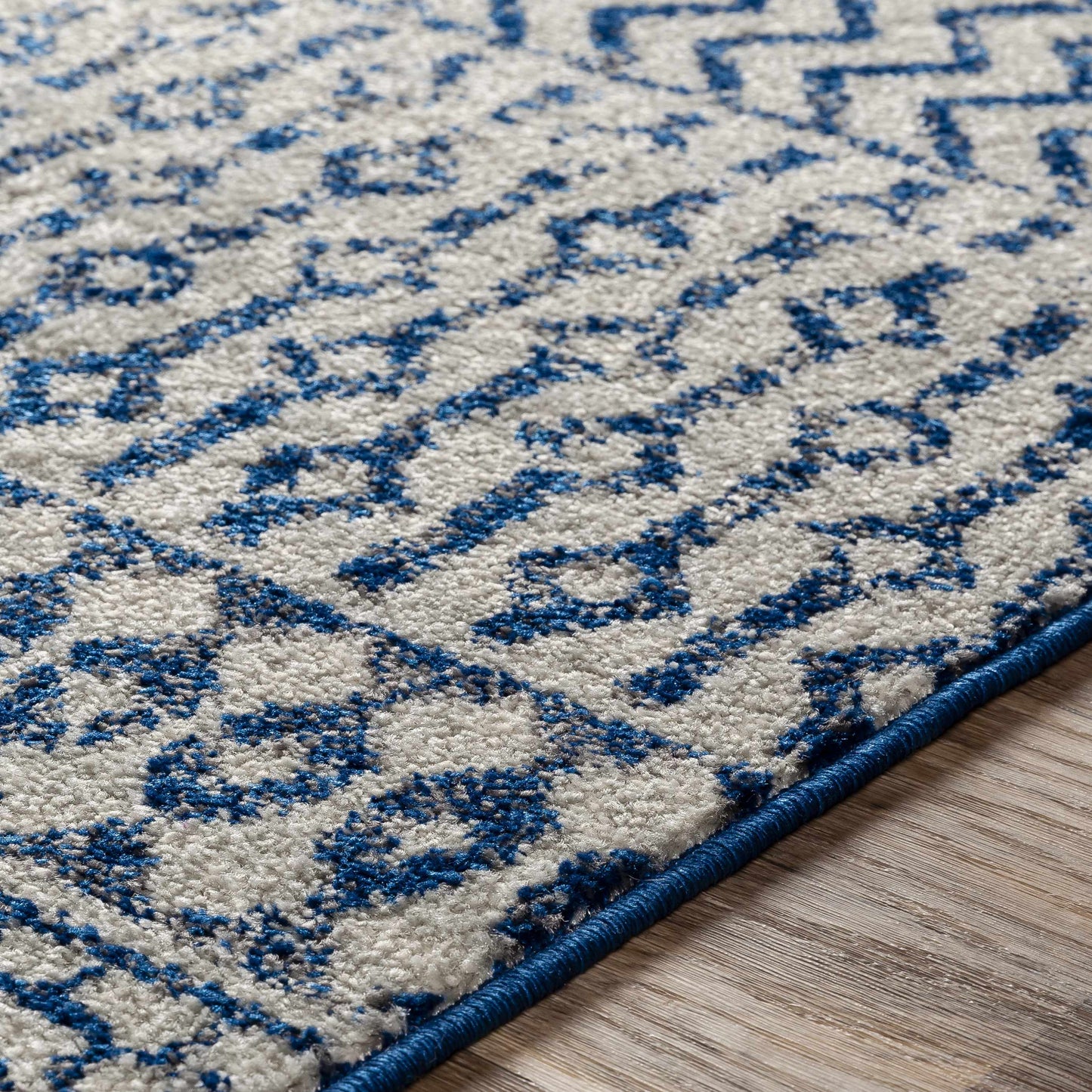 Constantin Blue Area Rug