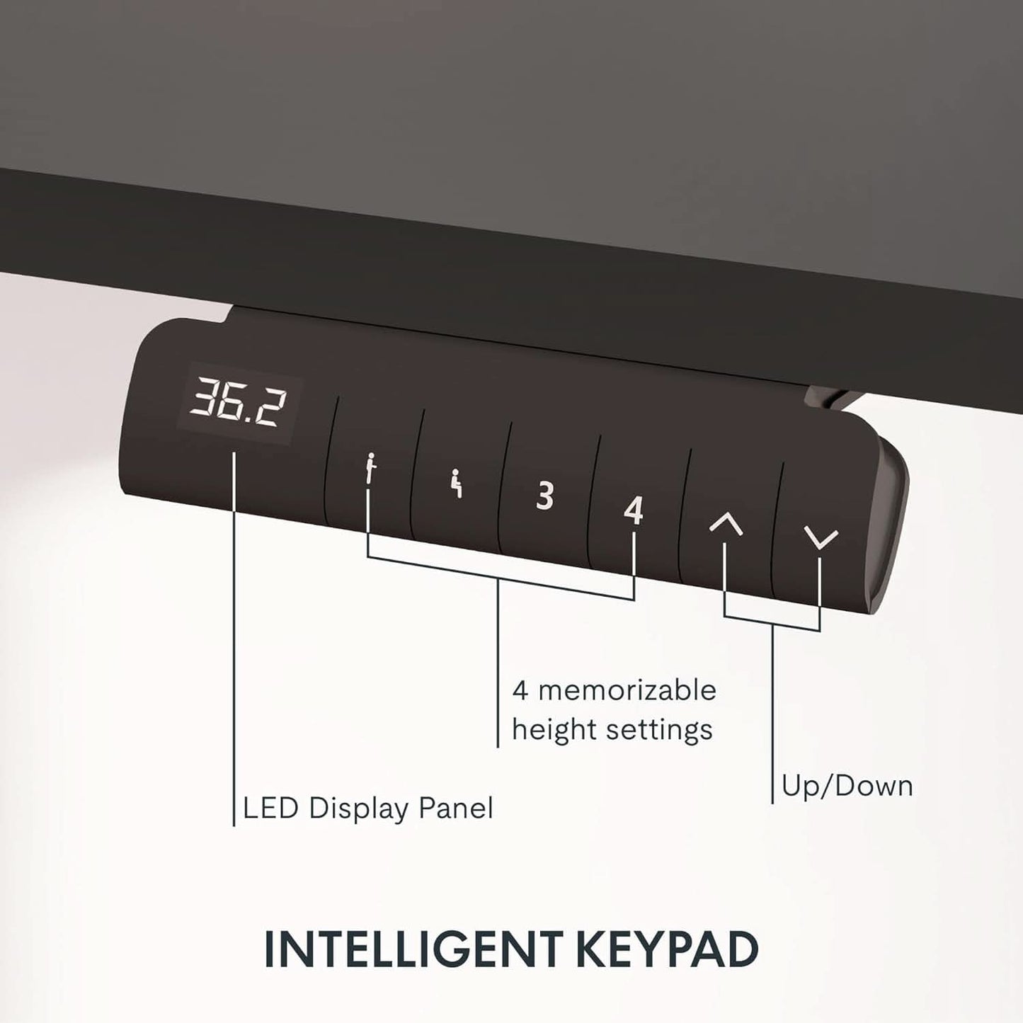 Height Adjustable Electric Standing Desk with Ergonomic Workspace