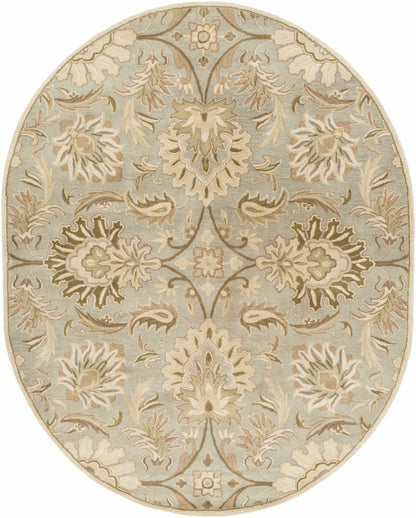 Chesterton Hand Tufted Ivory 1111 Area Rug