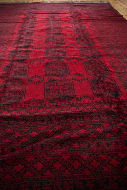 9x12.5 Vintage Afghani Ersari Design Carpet