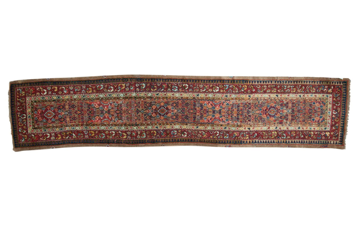 2.5x13.5 Antique Serab Rug Runner