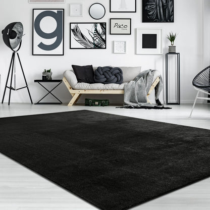 Soft Area Rug with Anti-Slip Backing Washable - Black