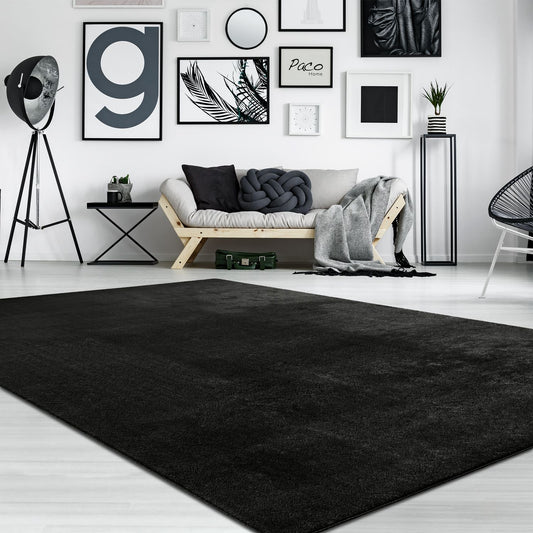 Soft Area Rug with Anti-Slip Backing Washable - Black