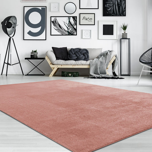 Soft Area Rug with Anti-Slip Backing Washable - Pink