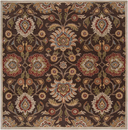Conesus Hand Tufted Brown 1051 Area Rug
